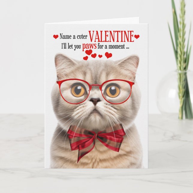 Cream Scottish Fold Cat Humor Valentine's Day Holiday Card (Front)