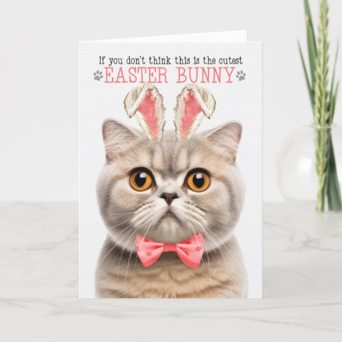 Cream Scottish Fold Cutest Easter Bunny Kitty Puns Holiday Card
