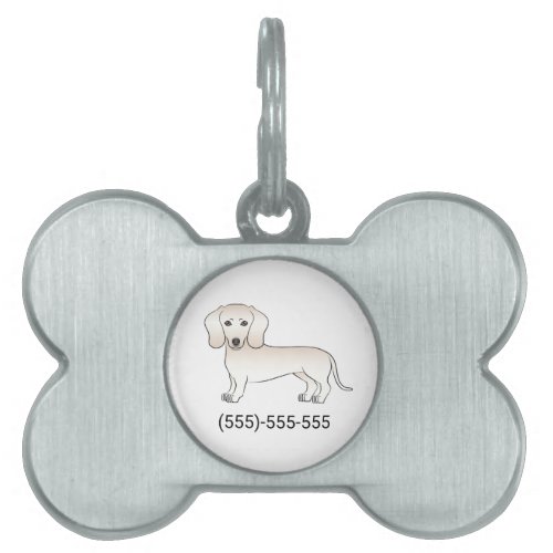 Cream Smooth Coat Dachshund Dog With Phone Number Pet ID Tag