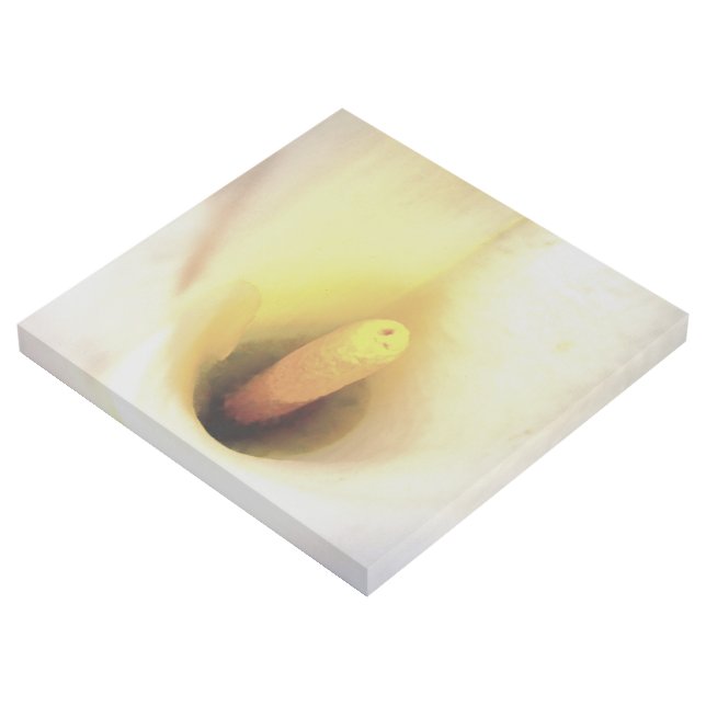 Cream White Calla Lily Close Up Abstract Art (3/4)