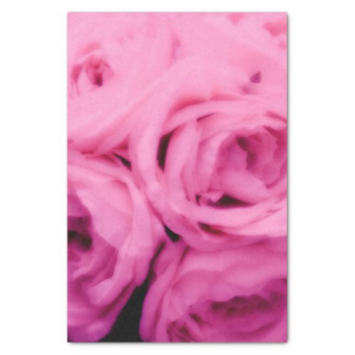 Creamy Bright Pink Roses Elegant Minimal Wedding Tissue Paper