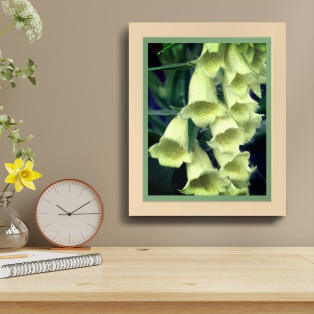 Creamy Foxglove Flower Framed Framed Art (Table Top)
