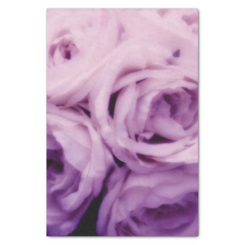 Creamy Purple Lilac Lavender Roses Wedding   Tissue Paper
