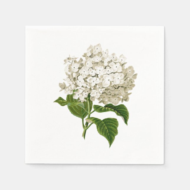 Creamy White Antique Hydrangea Flower Napkins (Front)