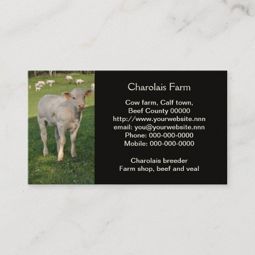 Customizable Charolais beef cattle business card