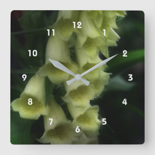 Creamy White Foxglove Flowers Square Wall Clock