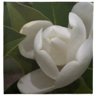 Creamy white magnolia flower bud napkin