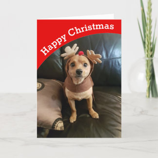 Creat your own Happy Christmas card