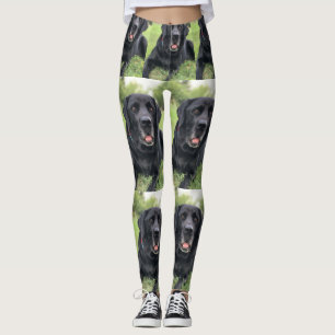 Create a Custom Photo Collage with 13 photos Pet Leggings