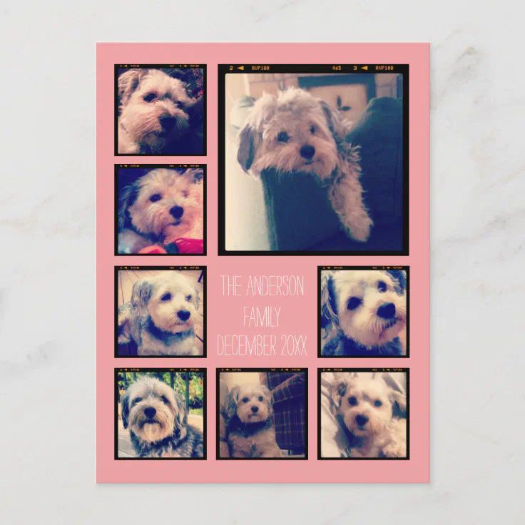 create-a-custom-photo-collage-with-8-photos-postcard-zazzle