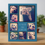 Create a Custom Photo Collage with 8 Photos Postcard<br><div class="desc">Use your favorite photo or pictures to make a fun keepsake to share with friends. A minimalist design with only snapshots and a text block.</div>