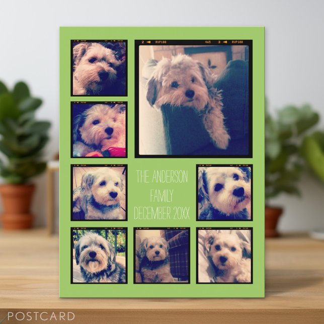 Create a Custom Photo Collage with 8 Photos Postcard (Personalized Photo Postcard)
