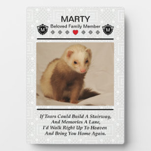 ferret memorial