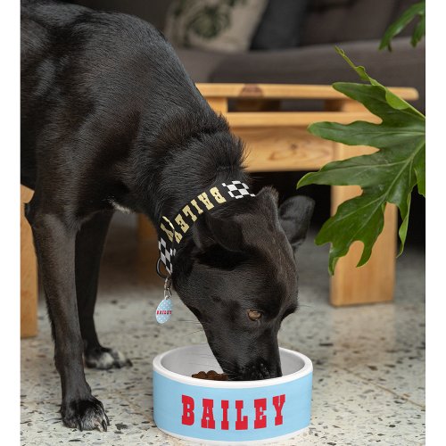 Create Custom Personalized Pet Dog Puppy Food Bowl
