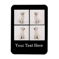 Create Instagram Family Photo Dog Cat Photos