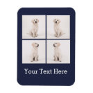 Create Instagram Family Photo Dog Cat Photos Magnet Create Instagram Family Photo Dog Cat Photos Magnet