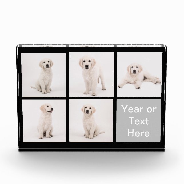 Create Instagram Photo Family Dog Cat Photos (Front)
