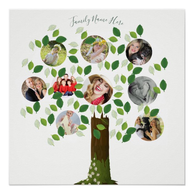 Create Own Family Tree 9 PHOTO Template Collage 2 Poster | Zazzle.com