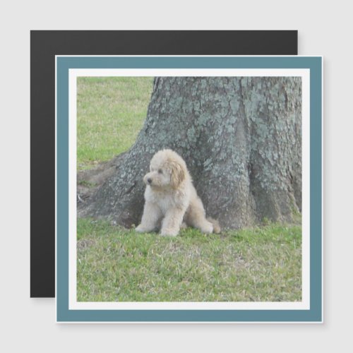 Create Square Photo Template Turquoise Cute Magnet