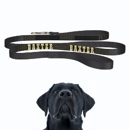 Create Your Custom Black Gold Stars Dog Puppy Name Pet Leash