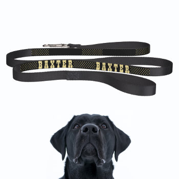 Create Your Custom Black Gold Stars Dog Puppy Name Pet Leash by iCoolCreate at Zazzle