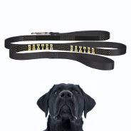 Create Your Custom Black Gold Stars Dog Puppy Name Pet Leash at Zazzle