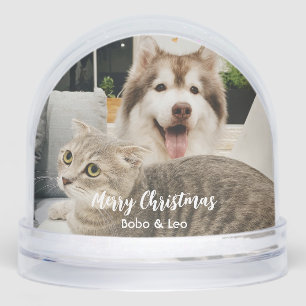 Create Your Cute Pet Photo Christmas Snow Globe
