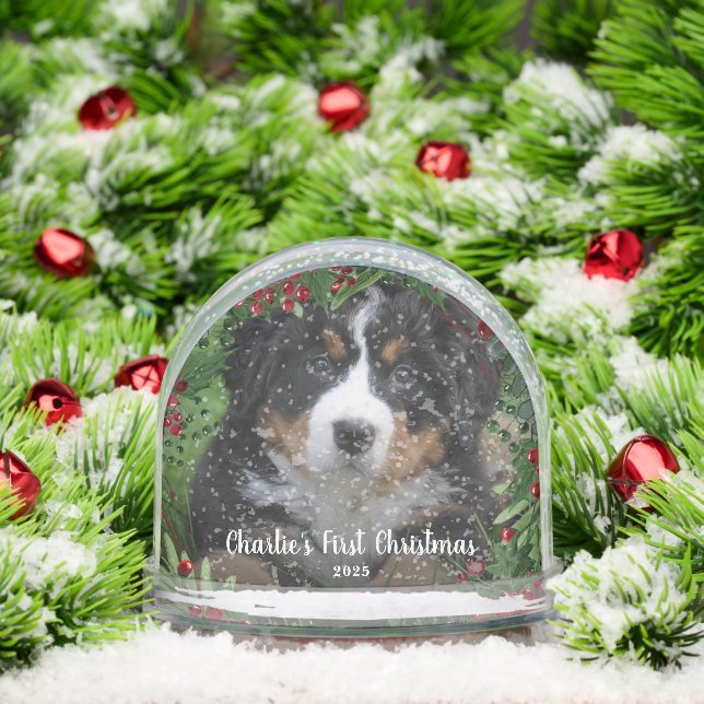 Create your Dog's First Christmas photo  Snow Globe (Christmas)