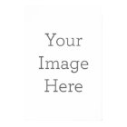 Create Your Own 12" x 12" Photo Enlargement