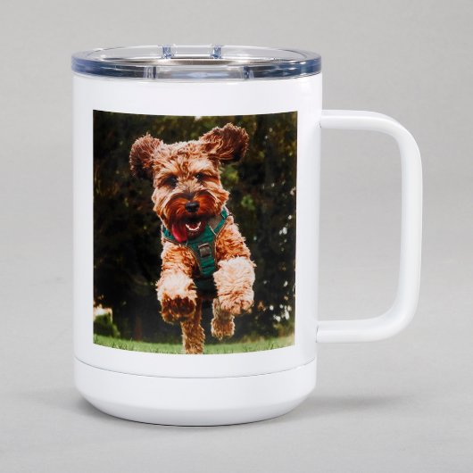 Create Your Own 15 Oz Polar Camel Insulated Mug (Image Idea 1)