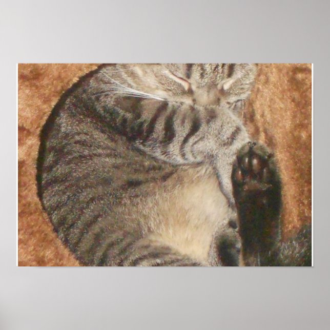 Create Your Own 19" x 13" Poster (Front)