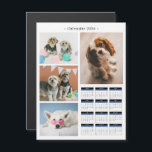Create Your Own 4 Pet Photo Collage 2025 Calendar<br><div class="desc">Create Your Own 4 Pet Photo Collage 2025 Calendar</div>