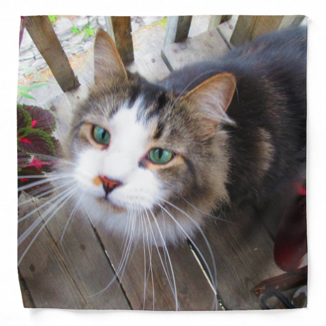 Create Your Own Add Image Photo Custom Bandana (Front)