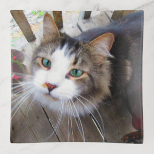 Create Your Own Add Image Photo Custom Trinket Tray