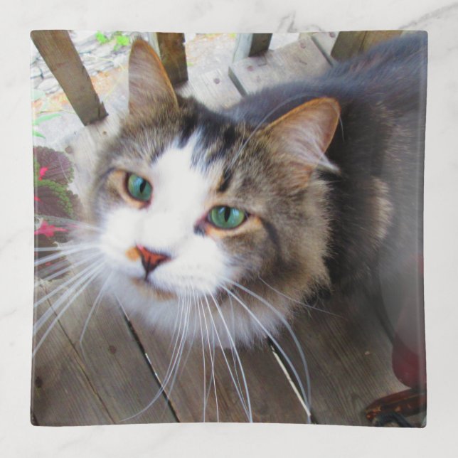 Create Your Own Add Image Photo Custom Trinket Tray (Front)