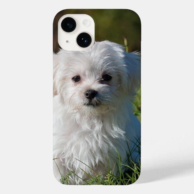 Create Your Own Add Photo Custom Case-Mate iPhone Case (Back)