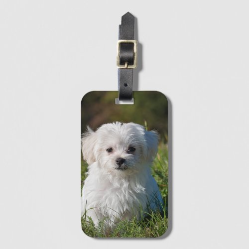 Create Your Own Add Photo Custom Luggage Tag