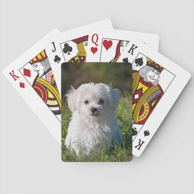 Create Your Own Add Photo Custom Poker Cards (Back)