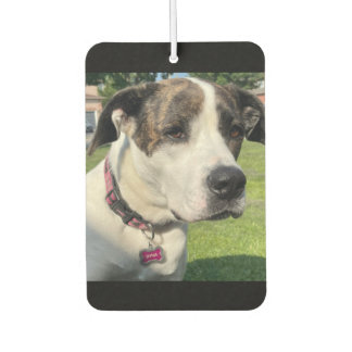 Create Your Own Air Freshener