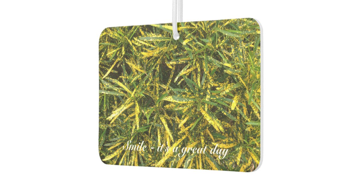 Create your own air freshener zazzle