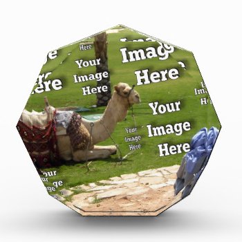 Create Your Own Amazing Image Template Award by Zazzimsical at Zazzle