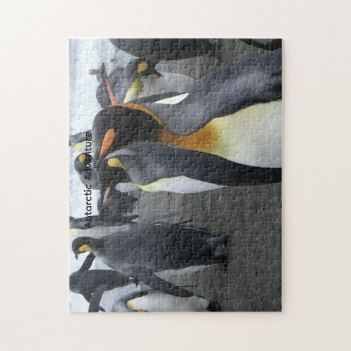 Create Your Own Antarctic Landscape Puzzle 11x14 2