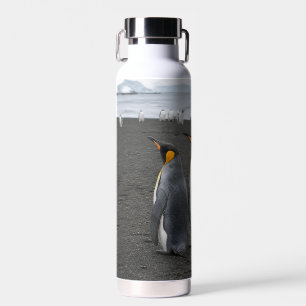 Create Your Own Antarctic Wildlife Insulated Water Bottle