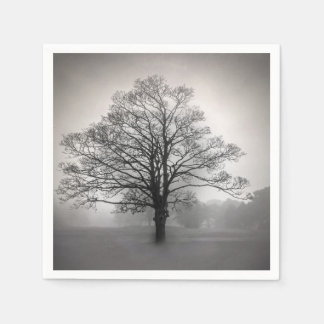 Create Your Own B&W Tree Silhouette & Mist Napkins