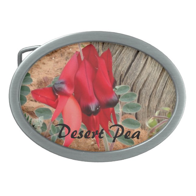 Create your own belt buckle (Front)