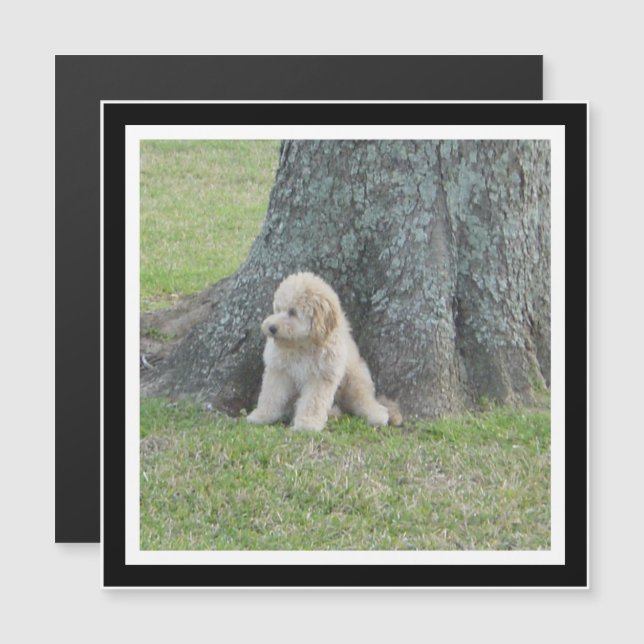 Create Your Own Black & White Square Photo Magnet (Front/Back)