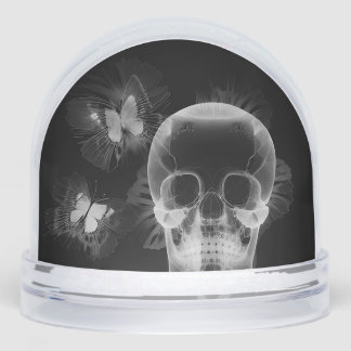 Create Your Own Butterfly X-Ray Skull Snow Globe