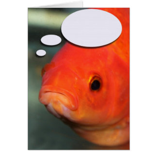 Create Your Own Caption, Goldfish Cards