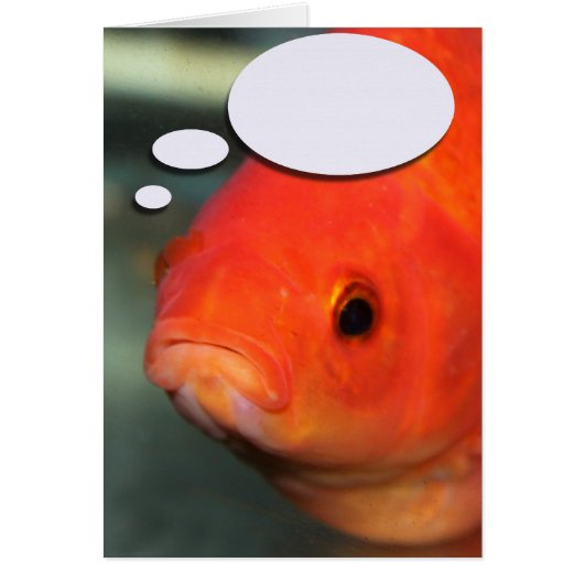 Create Your Own Caption, Goldfish Cards (Front)