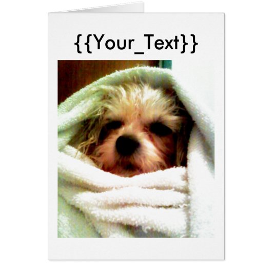 Create Your Own Cards (Front)